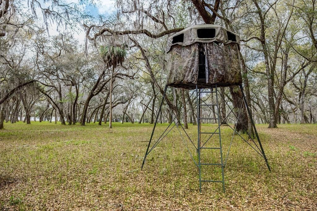 0 Forest  02, #2, SE 150th Street, Umatilla, FL 32784 Photo