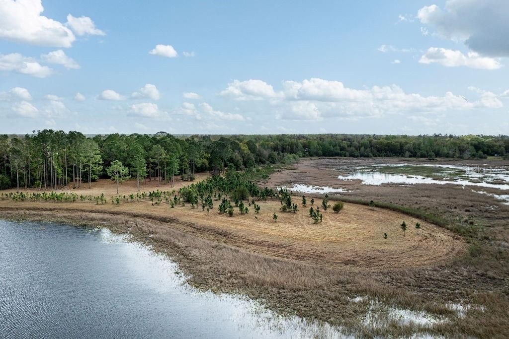 0 Forest  02, #2, SE 150th Street, Umatilla, FL 32784 Photo