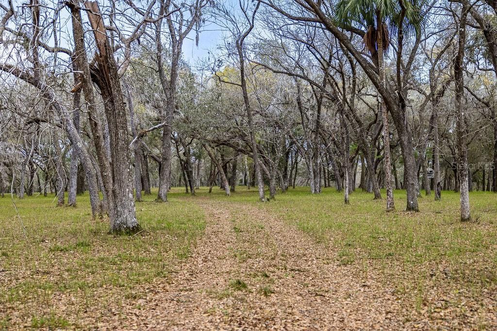 0 Forest  02, #2, SE 150th Street, Umatilla, FL 32784 Photo