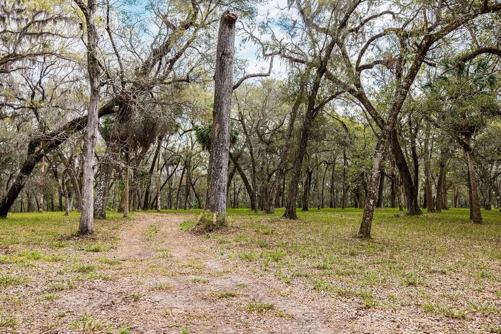 0 Forest  02, #2, SE 150th Street, Umatilla, FL 32784 Photo