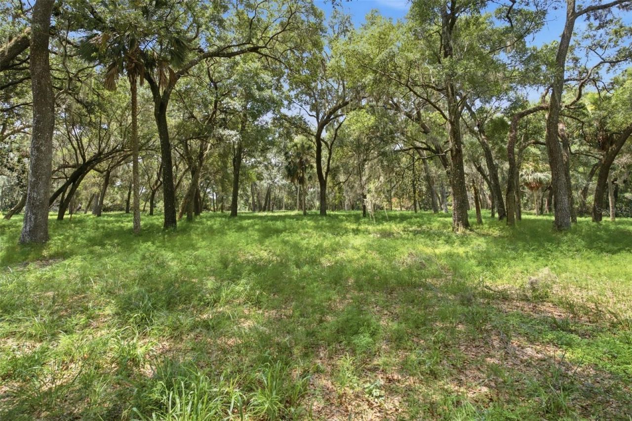 0 Forest  02, #2, SE 150th Street, Umatilla, FL 32784 Photo
