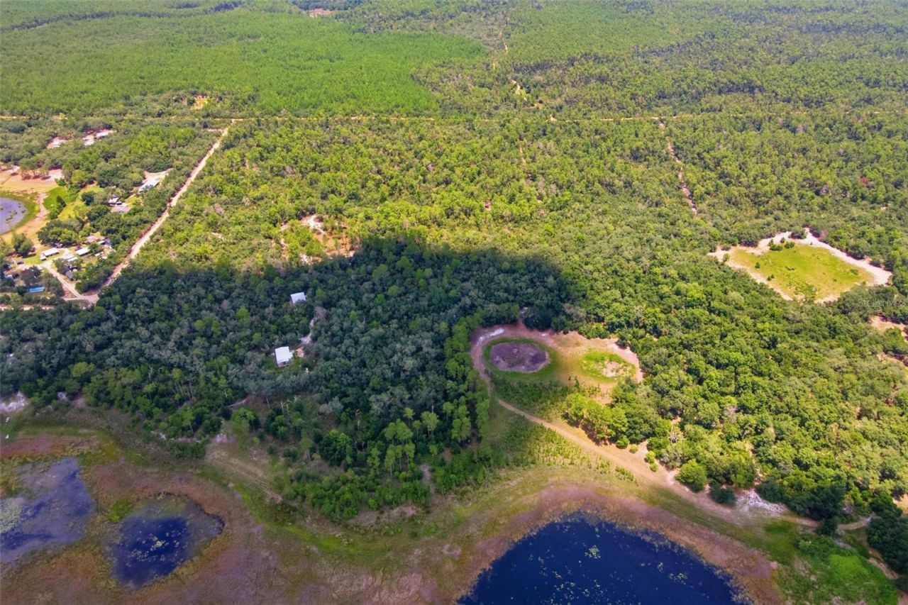 0 Forest  02, #2, SE 150th Street, Umatilla, FL 32784 Photo