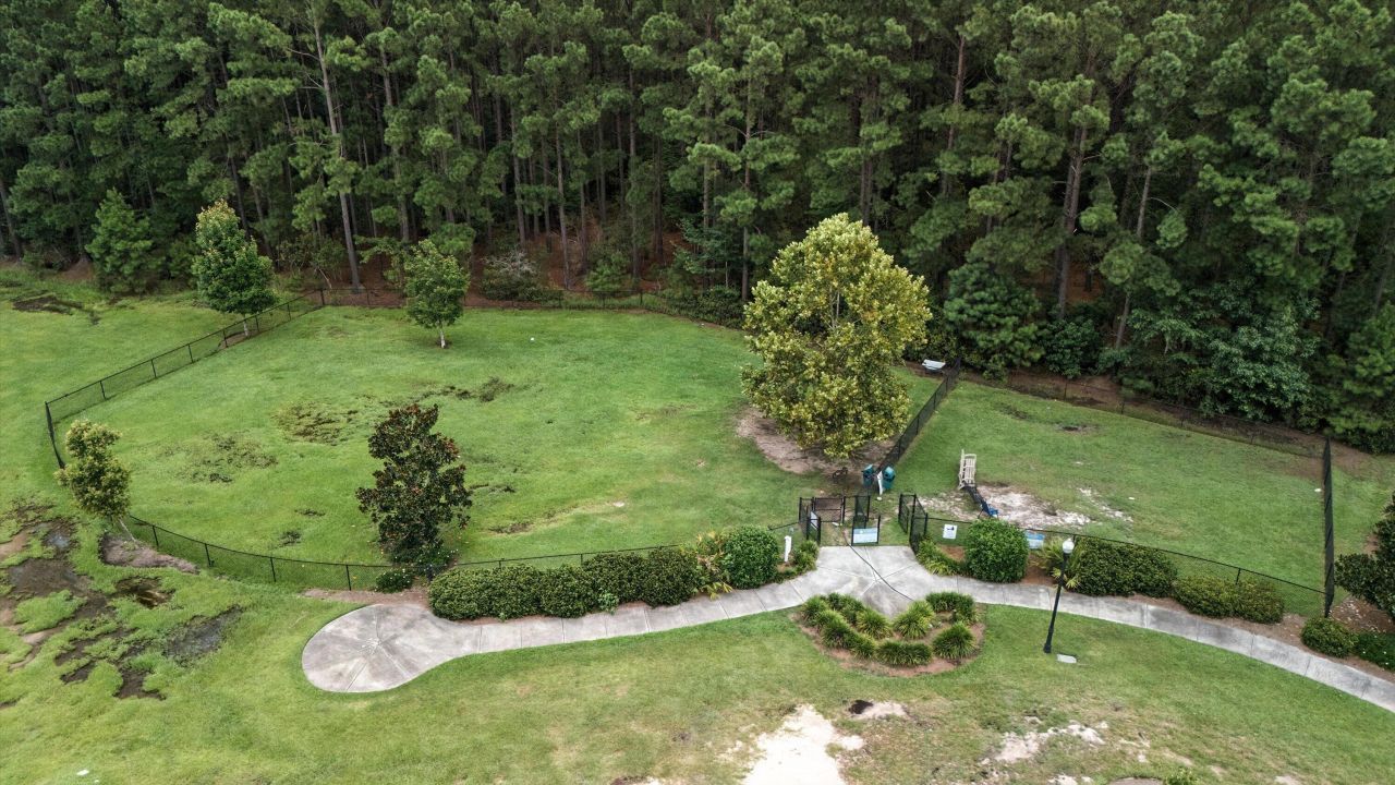 155 Lucky Day Drive Photo 41