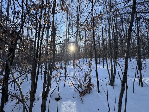 80 acres Galbrith Road, Mio, MI 48647