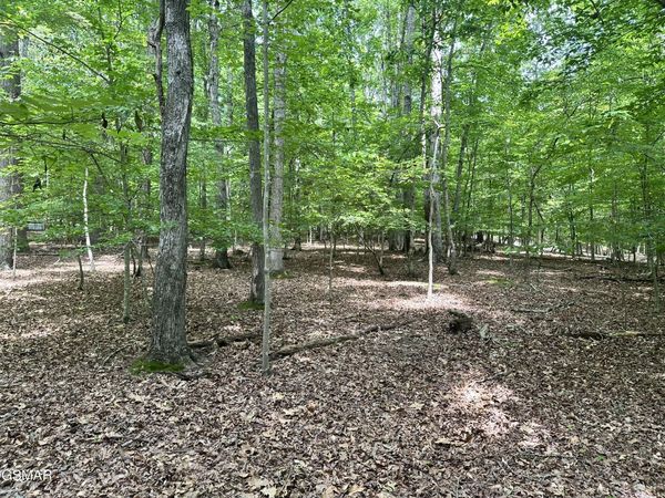 Tract 8 Woods Ridge Road, Dandridge, TN 37725