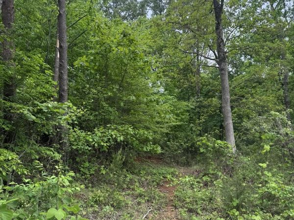 53 Cardinal Lane, Toccoa, GA 30577