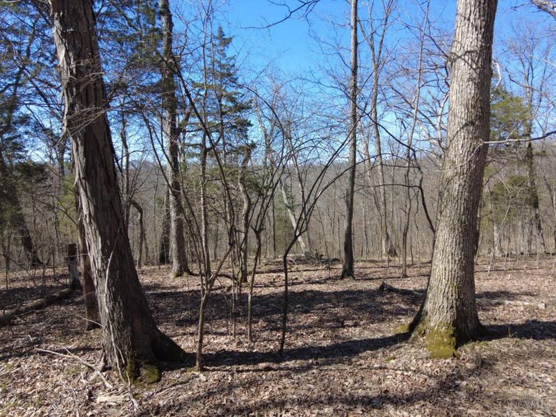 543 Ginger Lane, Oliver Twp, OH 45693 Photo 11