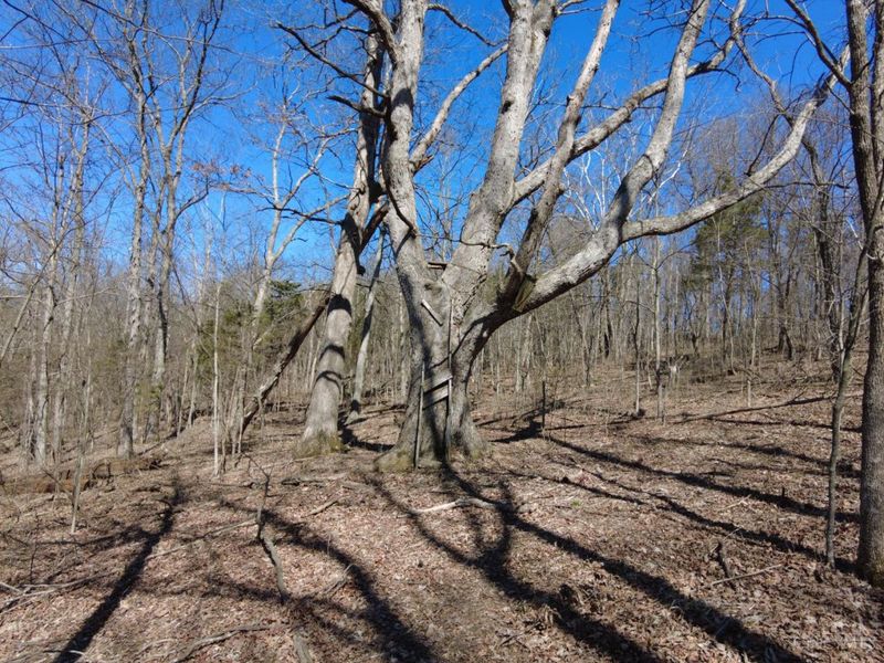 543 Ginger Lane, Oliver Twp, OH 45693 Photo 12