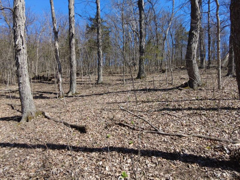 543 Ginger Lane, Oliver Twp, OH 45693 Photo 13