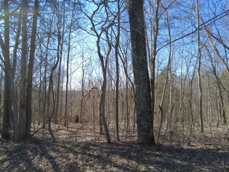 543 Ginger Lane, Oliver Twp, OH 45693 Photo 4