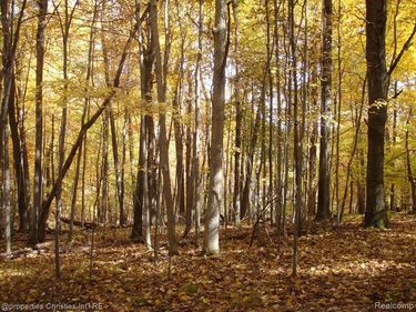 1451 Barrwood Trail, Oxford Vlg, MI 48371