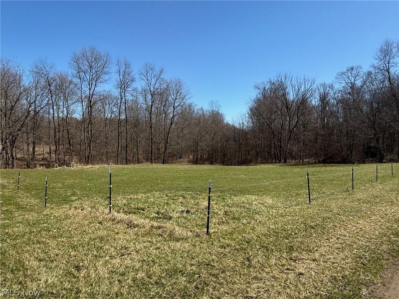 10955 Township Road 262, Millersburg, OH 44654 Photo 11