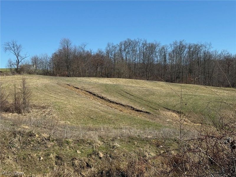 10955 Township Road 262, Millersburg, OH 44654 Photo 4