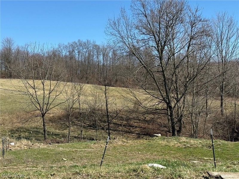 10955 Township Road 262, Millersburg, OH 44654 Photo 8