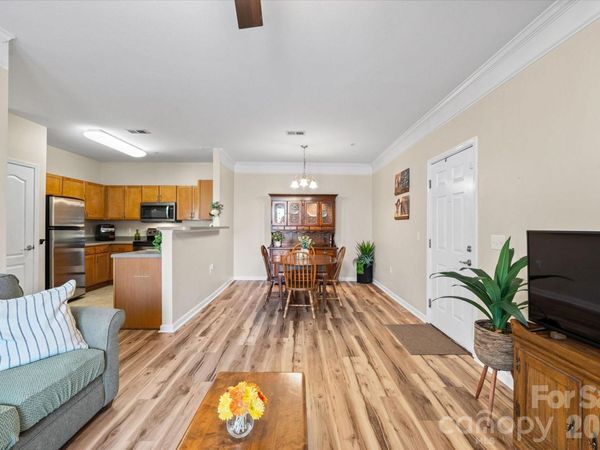 233 Appeldoorn Circle , Asheville, NC 28803