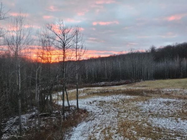 72 acres W Miller Road, Mio, MI 48647