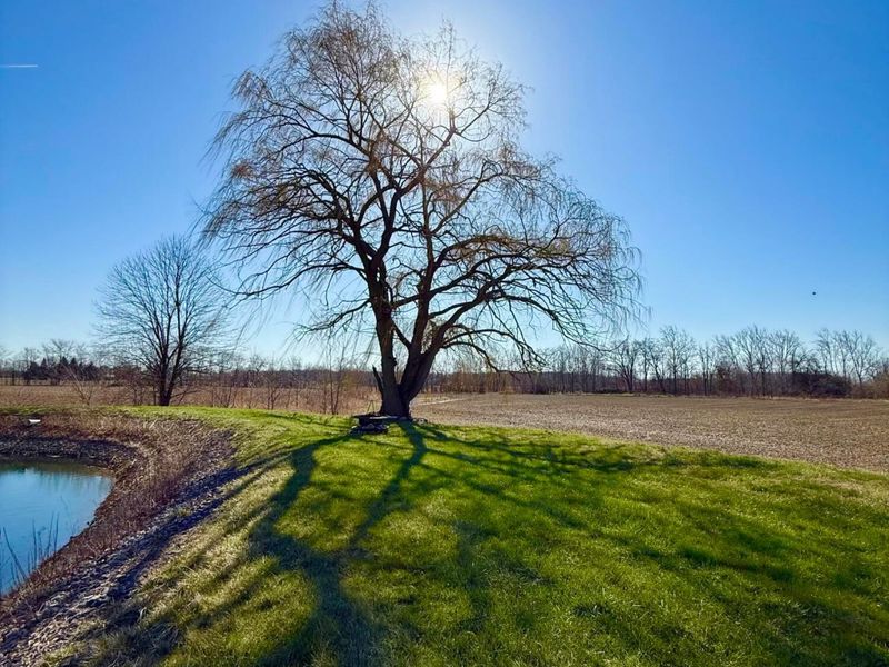 32648 Cobb Harriman Road, Richwood, OH 43344 Photo 40