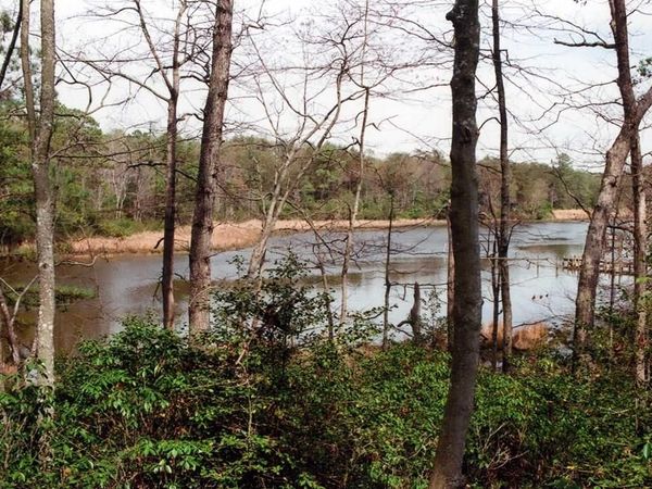 Lot 99 Steamboat Lane, HEATHSVILLE, VA 22473