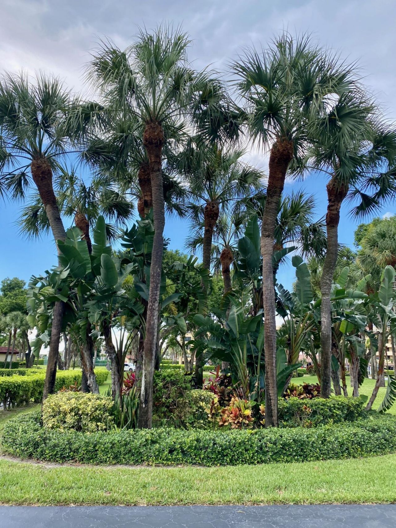 9170 SW 14th Street, Unit 4405, Boca Raton, FL 33428 Photo