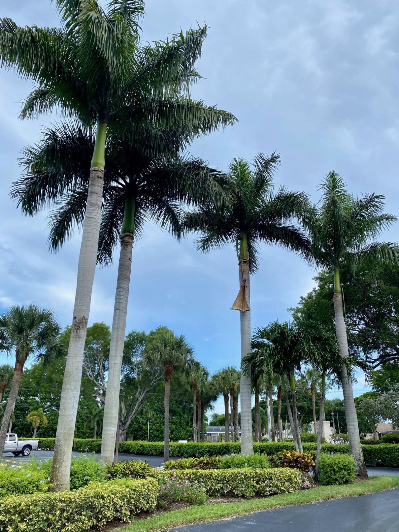 9170 SW 14th Street, Unit 4405, Boca Raton, FL 33428 Photo