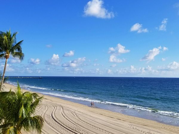 4280 Galt Ocean Drive, Unit 8 L, Fort Lauderdale, FL 33308