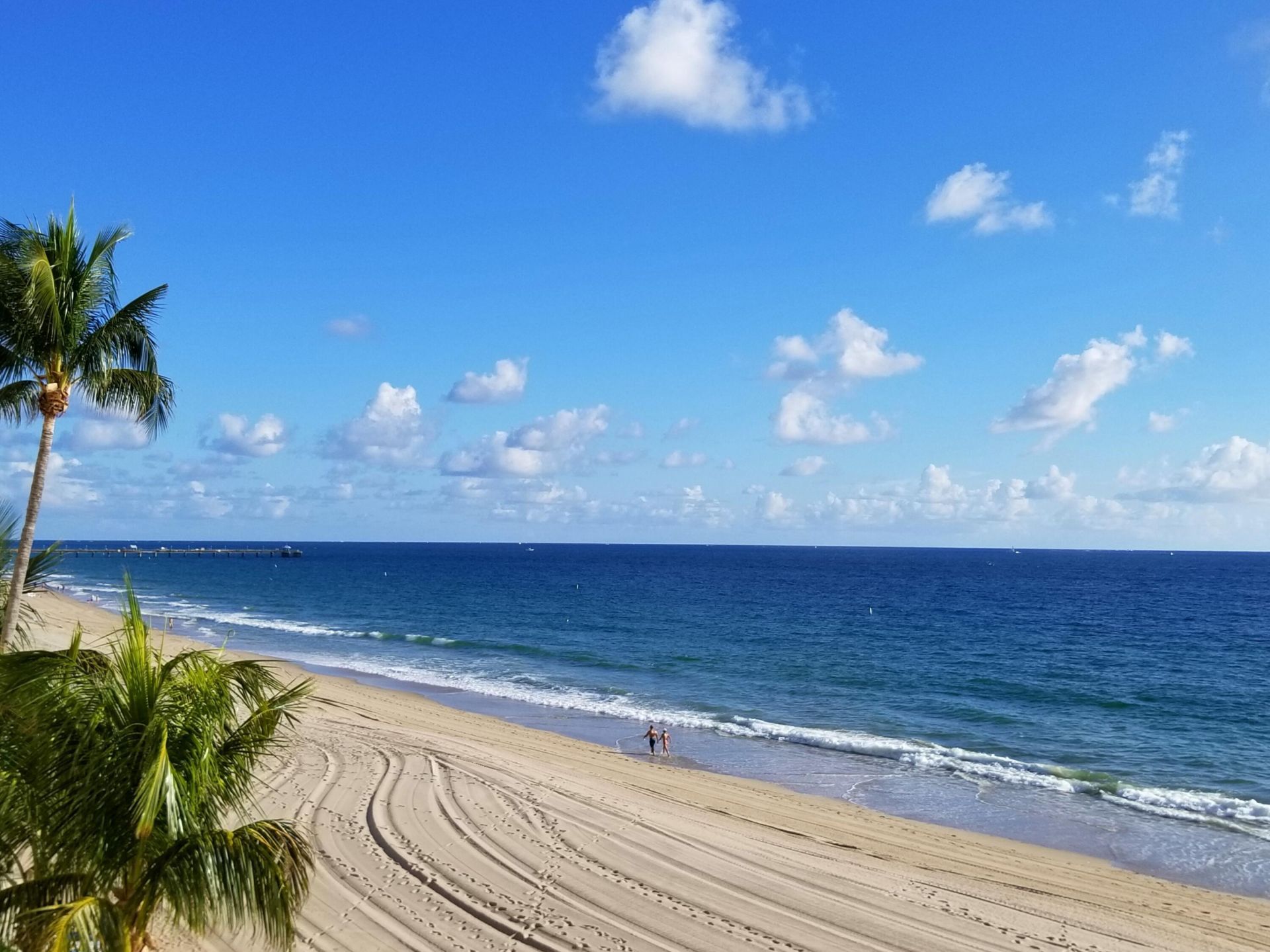 4280 Galt Ocean Drive, Unit 8l, Fort Lauderdale, FL 33308 Photo