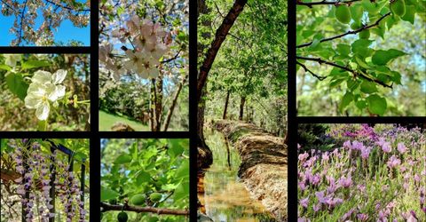 16804 Alice Way, Grass Valley, CA 95949 Photo