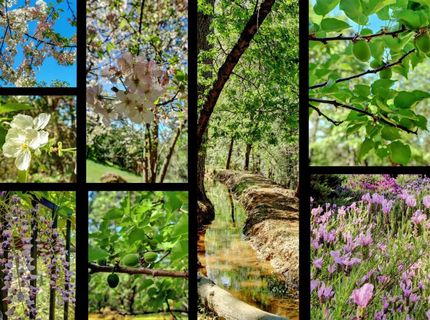 16804 Alice Way, Grass Valley, CA 95949 Photo