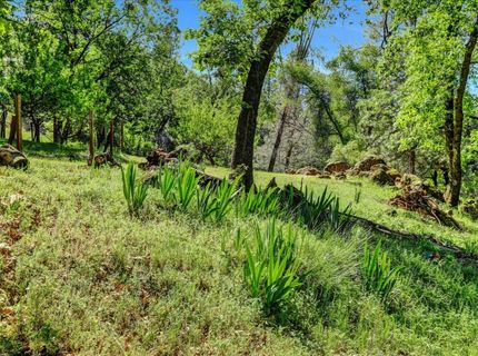 16804 Alice Way, Grass Valley, CA 95949 Photo