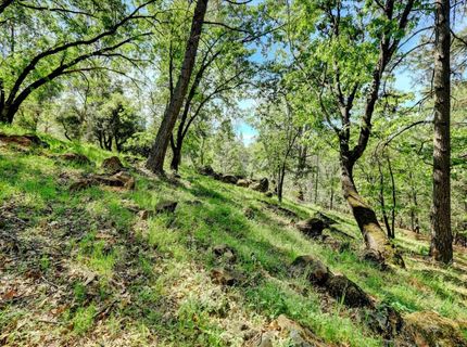 16804 Alice Way, Grass Valley, CA 95949 Photo