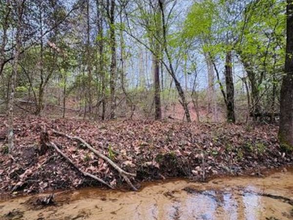 TBD (Tract A) FM 711 , Center, TX 75935