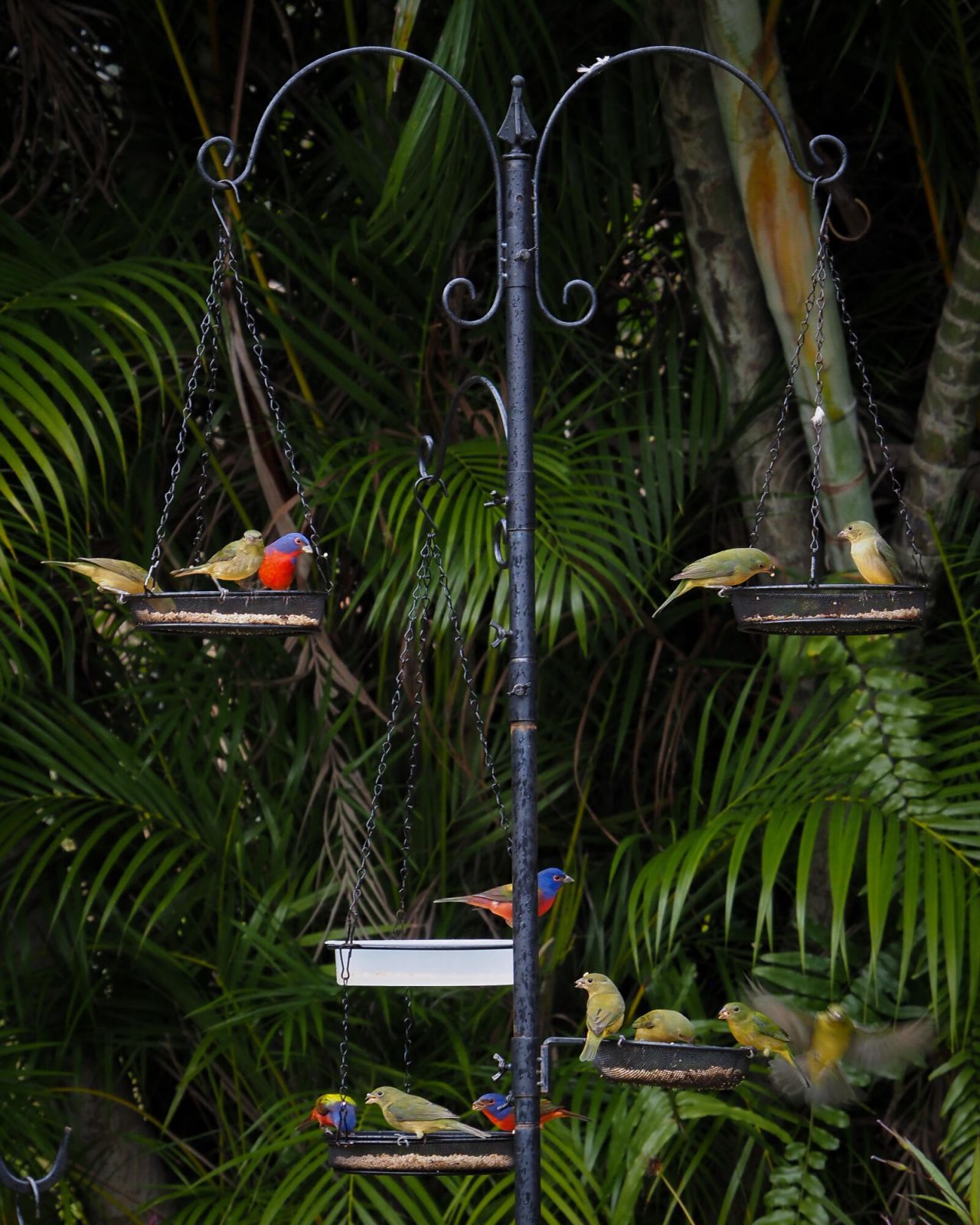 534 NW Kingston Street, Port Saint Lucie, FL 34983 Photo