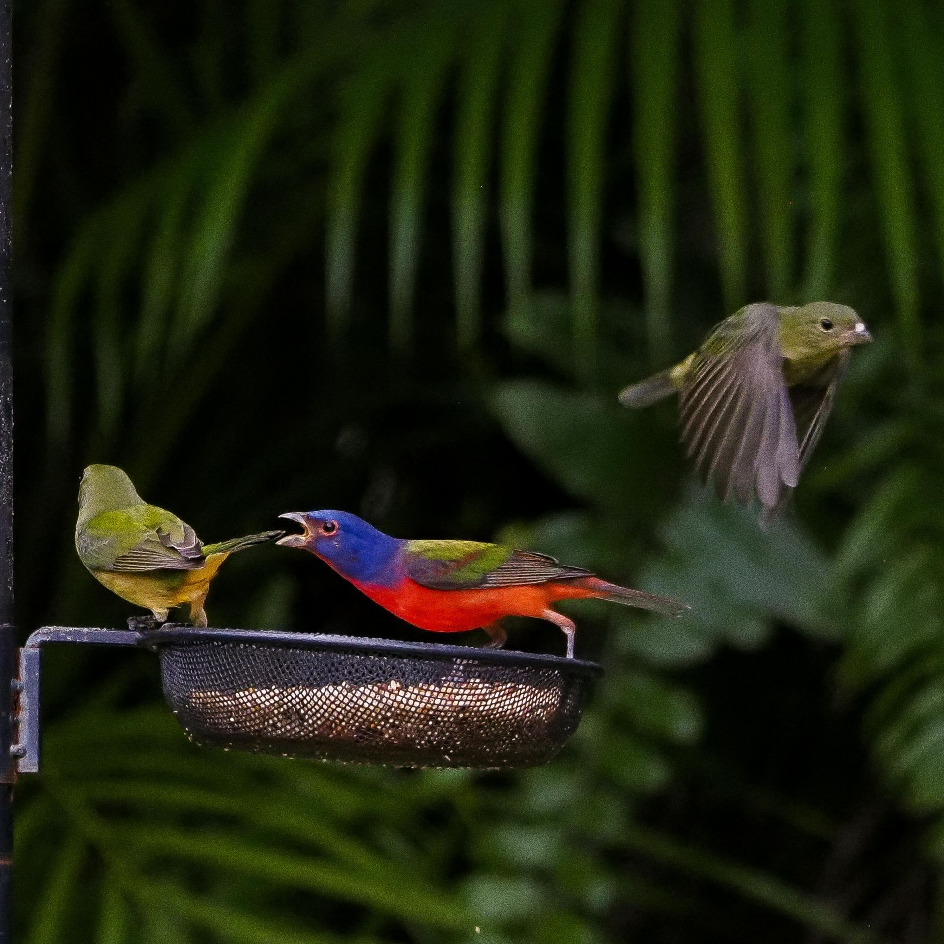 534 NW Kingston Street, Port Saint Lucie, FL 34983 Photo