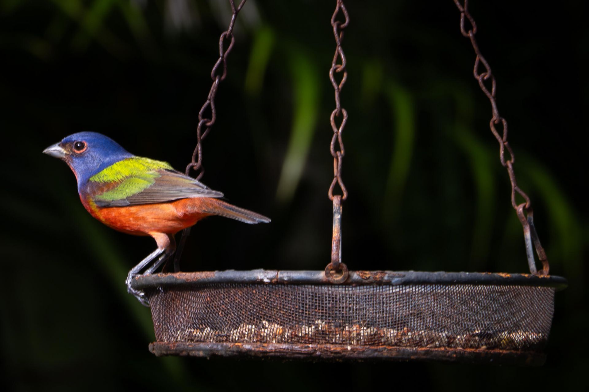 534 NW Kingston Street, Port Saint Lucie, FL 34983 Photo