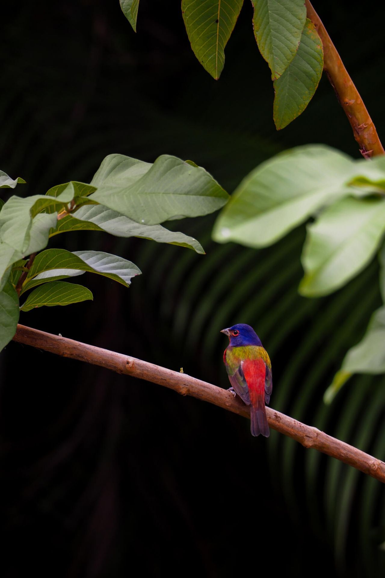 534 NW Kingston Street, Port Saint Lucie, FL 34983 Photo