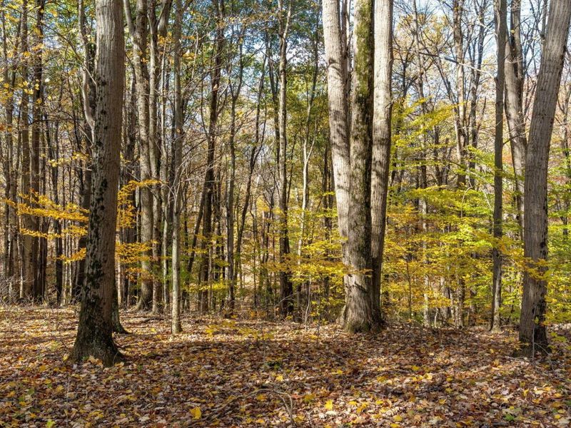 4330 Wesleyan Church Road, Granville, OH 43023 Photo 86