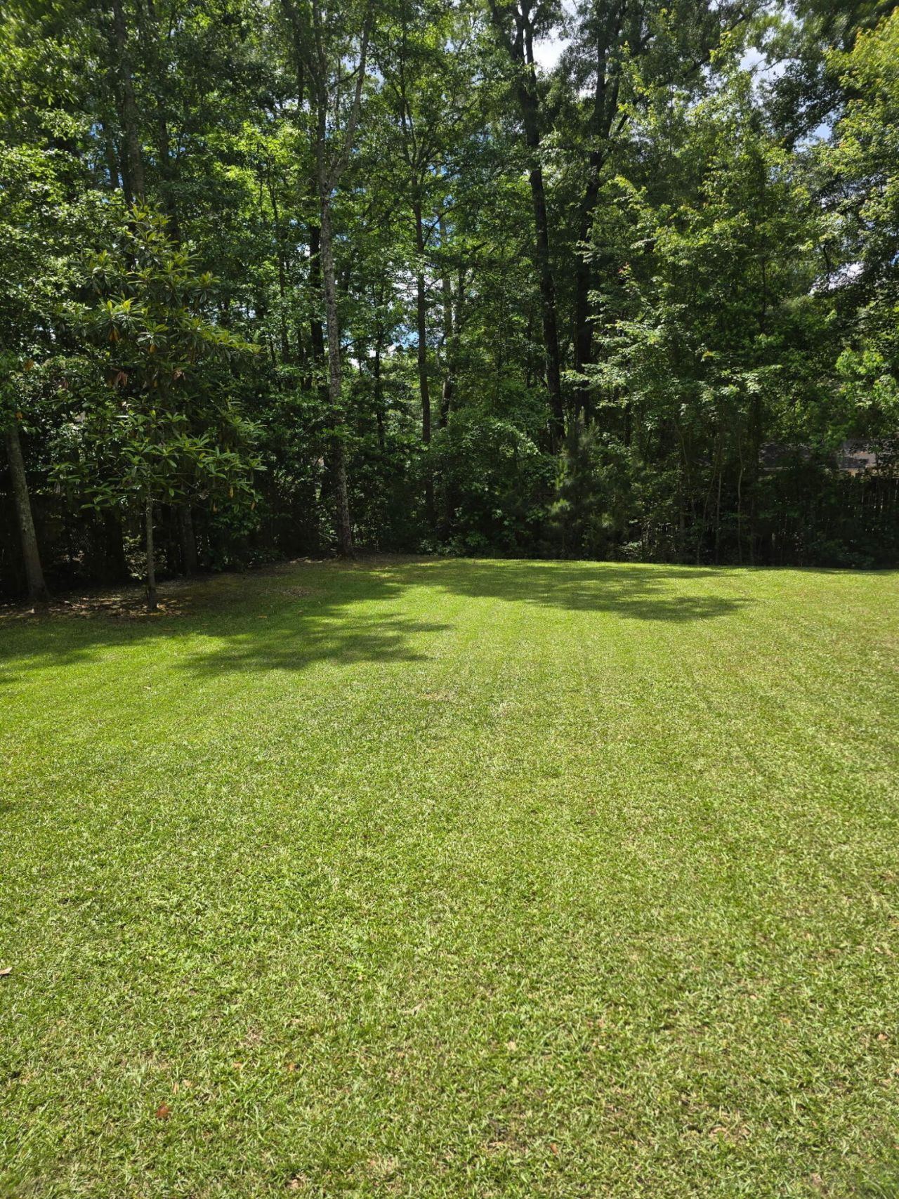 139 Charpia Avenue Photo 52