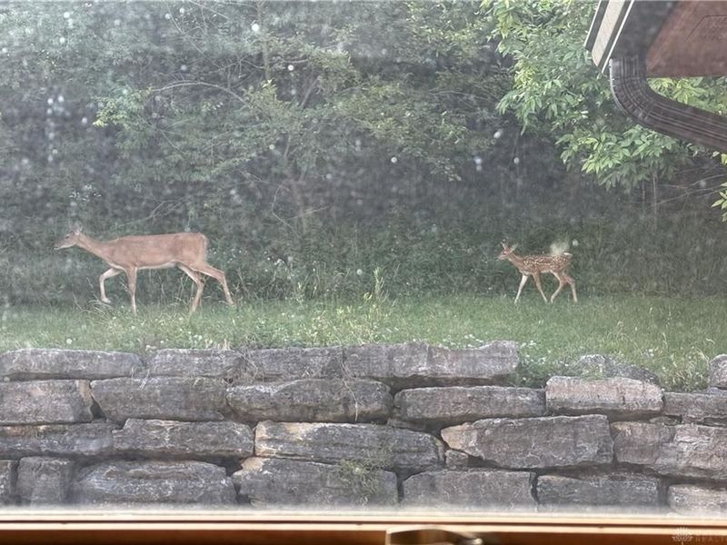 7219 N US 42, Wayne Township, OH 45068 Photo 32