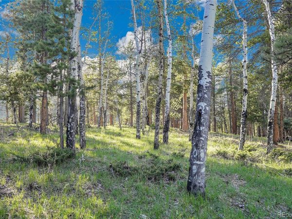 Molly Dr, Lot #3 , Conifer, CO 80433