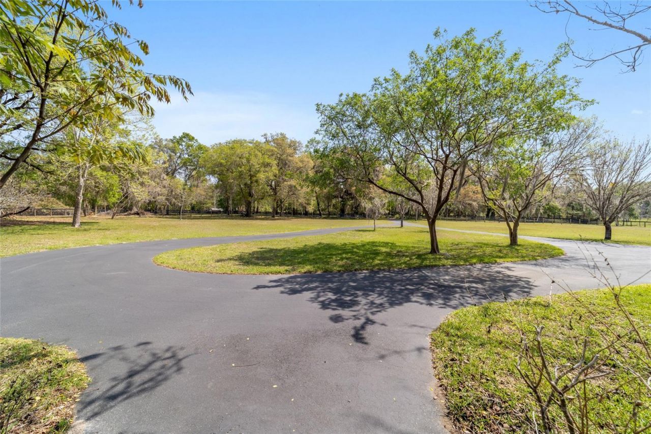16638 N Highway 329, Reddick, FL 32686 Photo