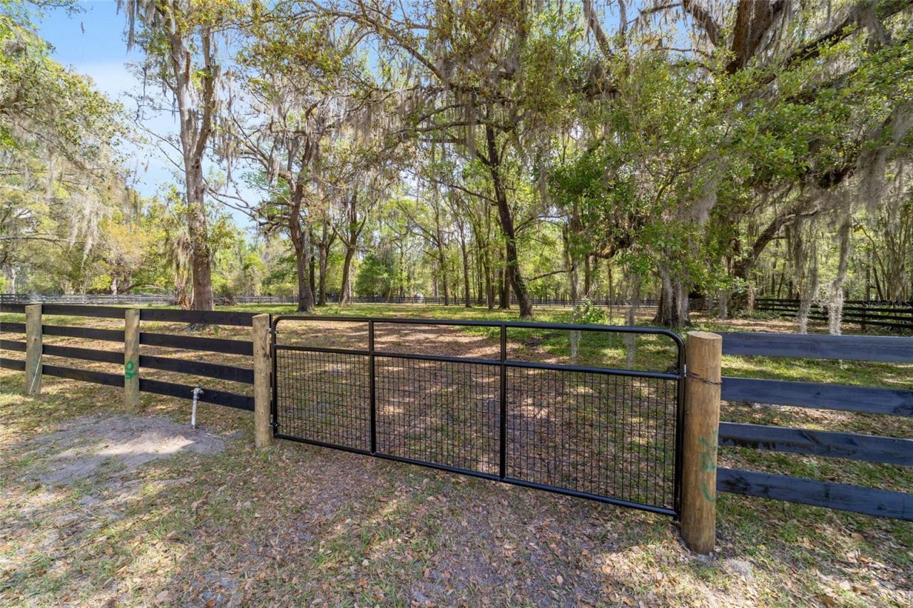 16638 N Highway 329, Reddick, FL 32686 Photo