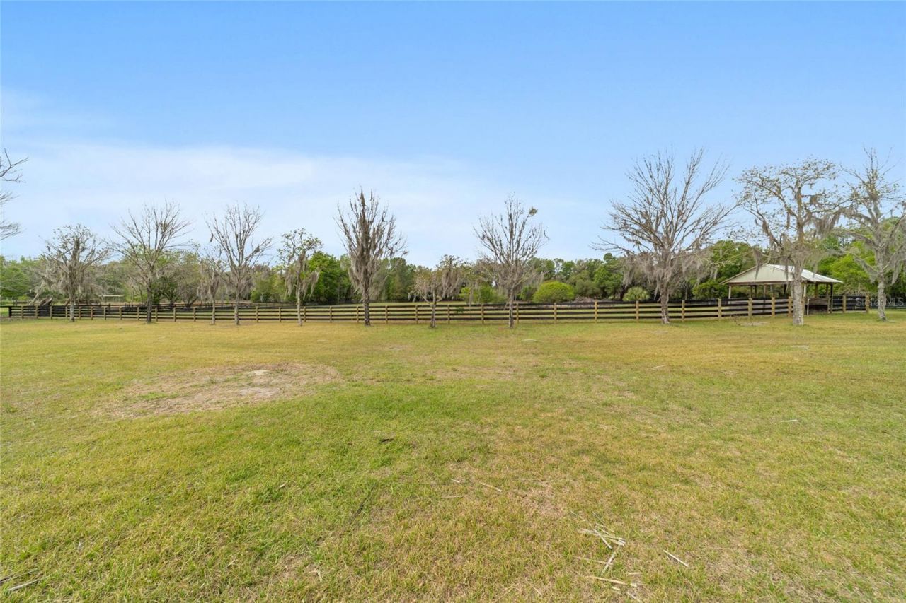 16638 N Highway 329, Reddick, FL 32686 Photo