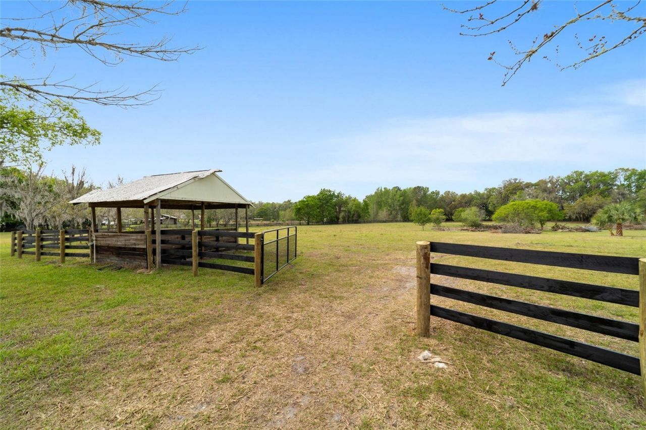 16638 N Highway 329, Reddick, FL 32686 Photo