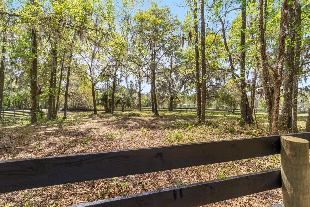 16638 N Highway 329, Reddick, FL 32686 Photo