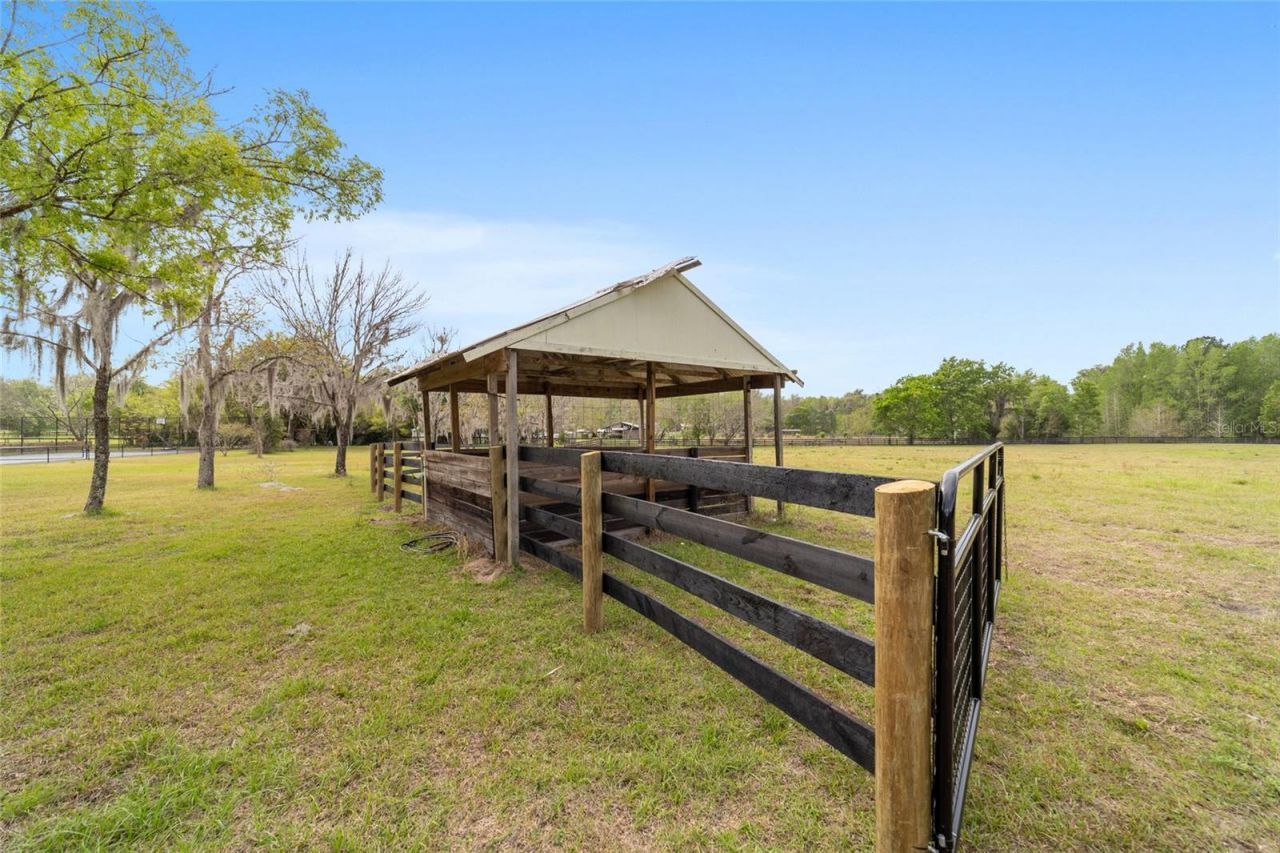 16638 N Highway 329, Reddick, FL 32686 Photo