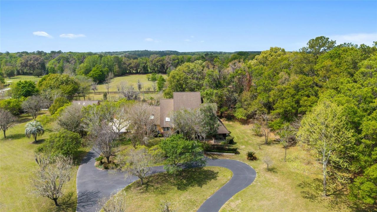 16638 N Highway 329, Reddick, FL 32686 Photo