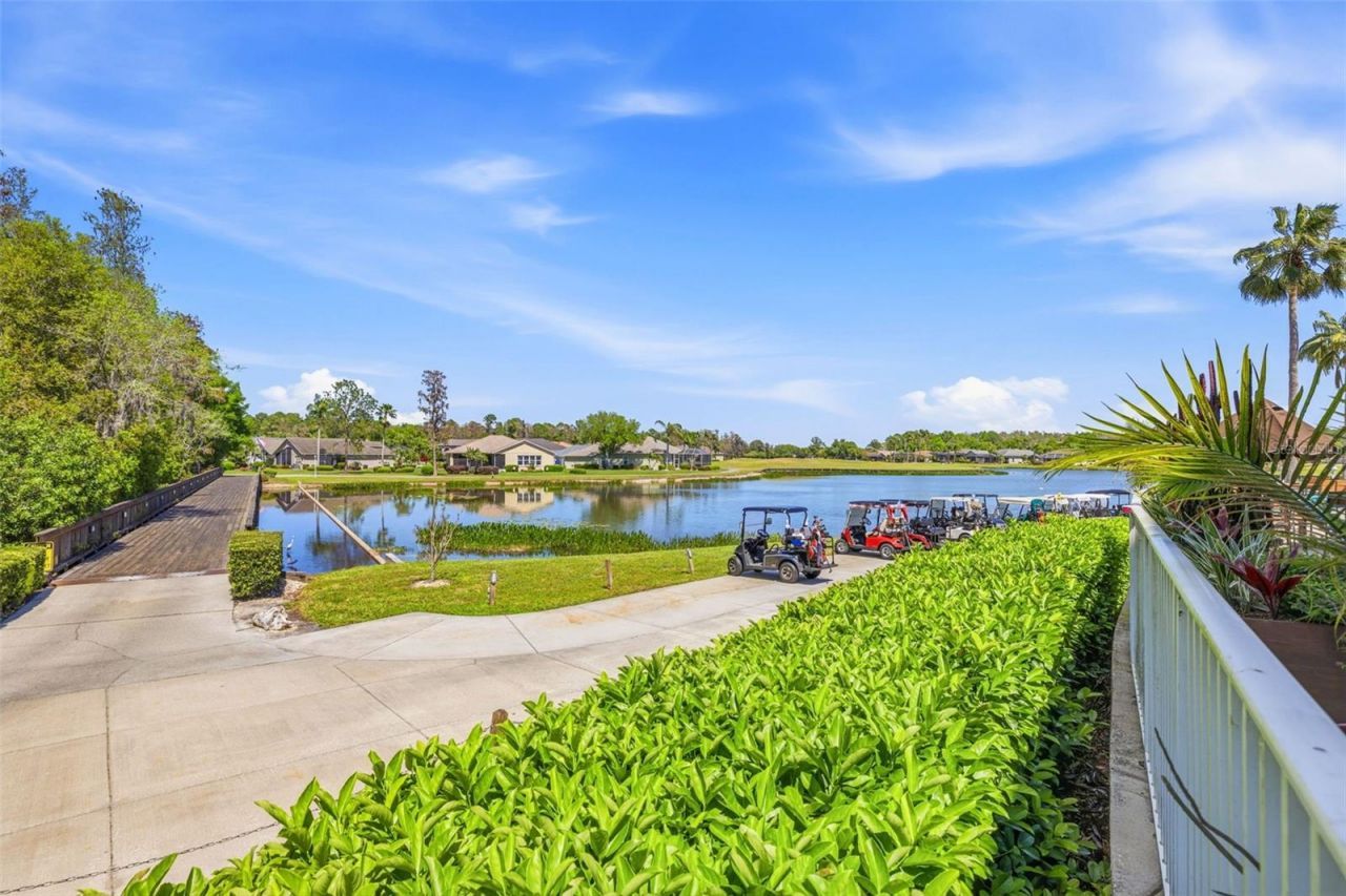 11134 Wedgemere Drive, Trinity, FL 34655 Photo