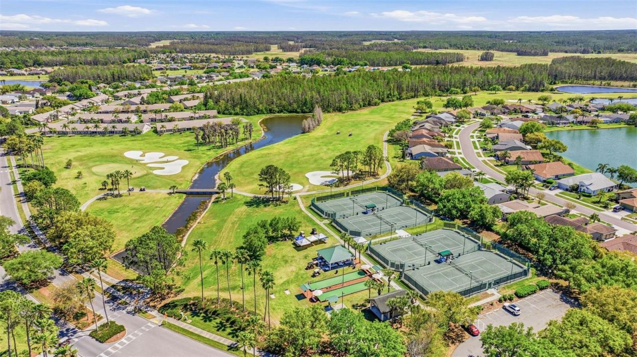 11134 Wedgemere Drive, Trinity, FL 34655 Photo