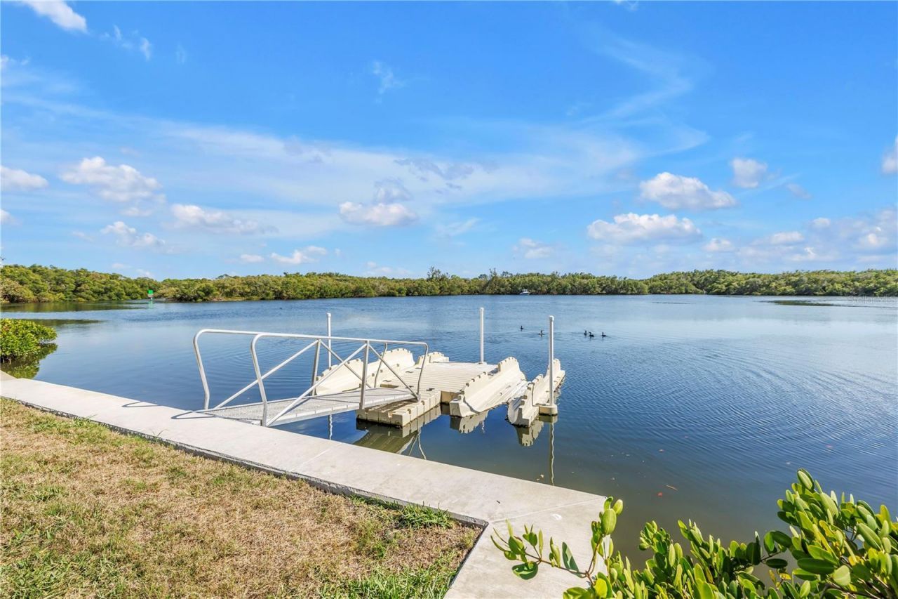 1052 Sanabel Court Ne, Saint Petersburg, FL 33702 Photo