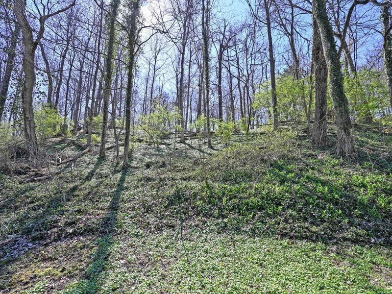 7061 Clough, Anderson Twp, OH 45244 Photo 25